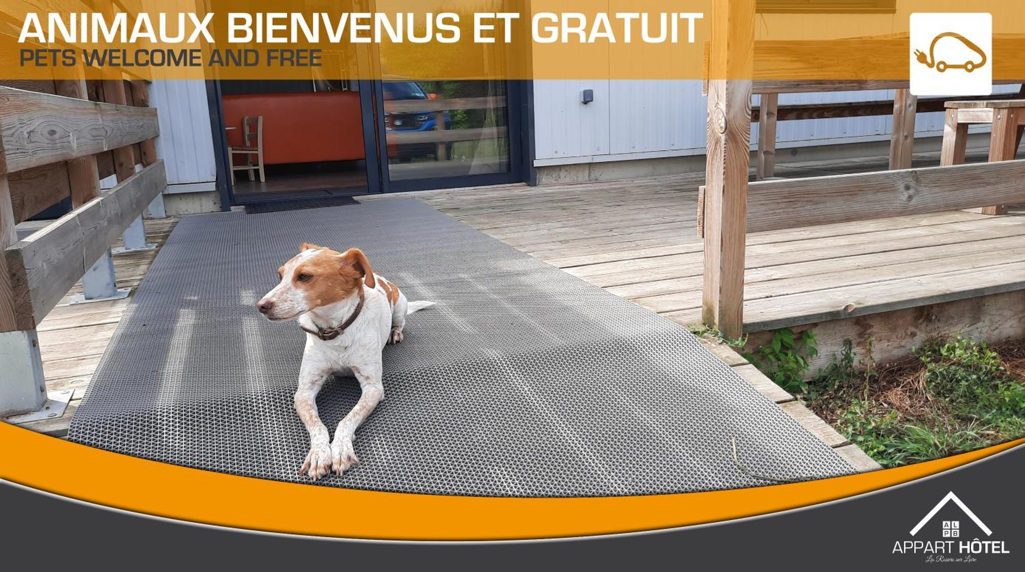 Appart'Hotel Les Pres Blondeau - 1 A 10 Personnes - 3 Chambres - Terrasse - Parking Prive - Wifi Les Rosiers Dış mekan fotoğraf